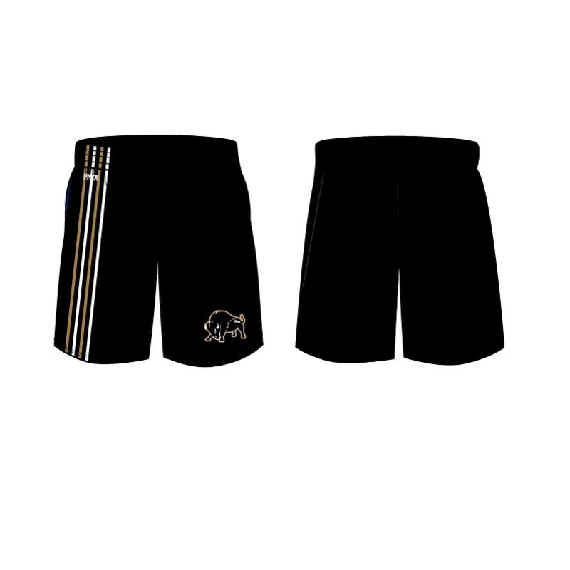 Harding Men's shorts 2023